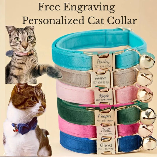 Personalized Velvet Cat Tiny Dog Collar Custom Engraved Kitten/Puppy Name Tag with Gold Bell Male/Female Pet Gift for Small Pets